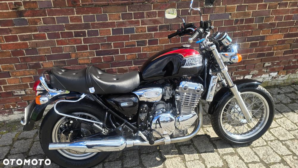 Triumph Thunderbird - 19