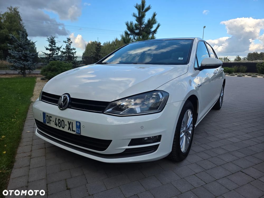 Volkswagen Golf - 24