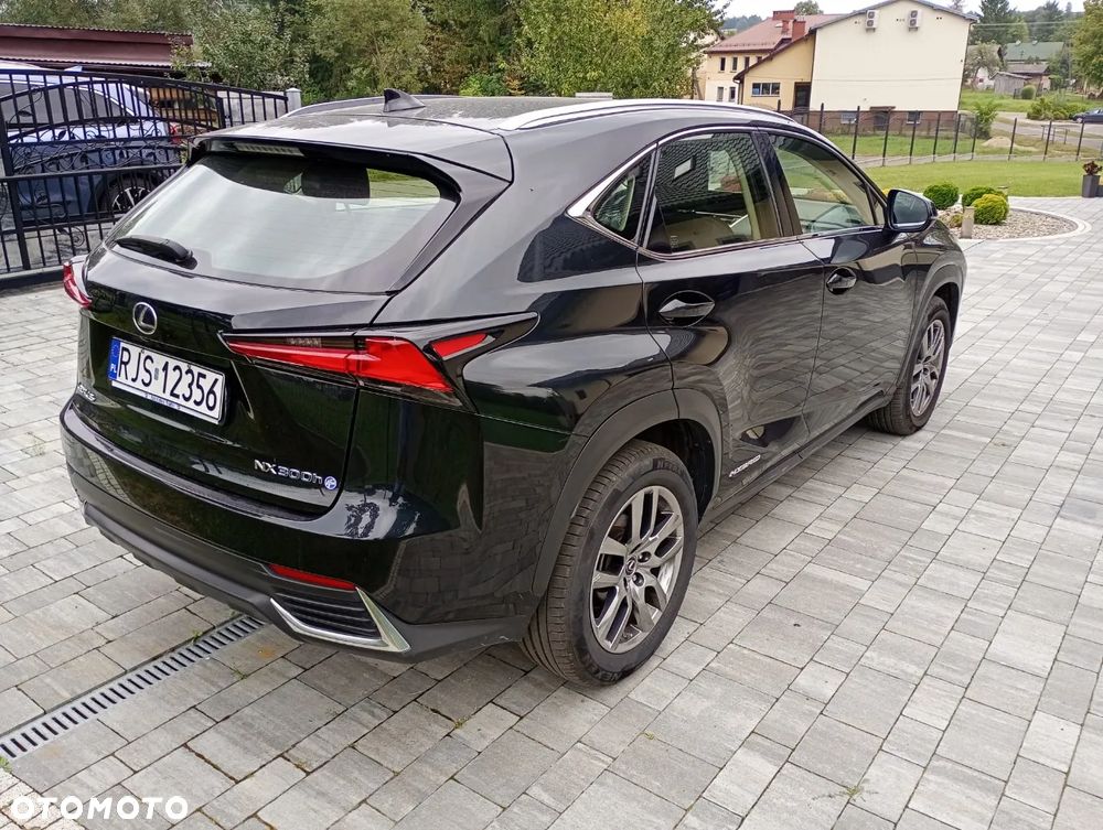 Lexus NX 300h Elite 2WD - 6