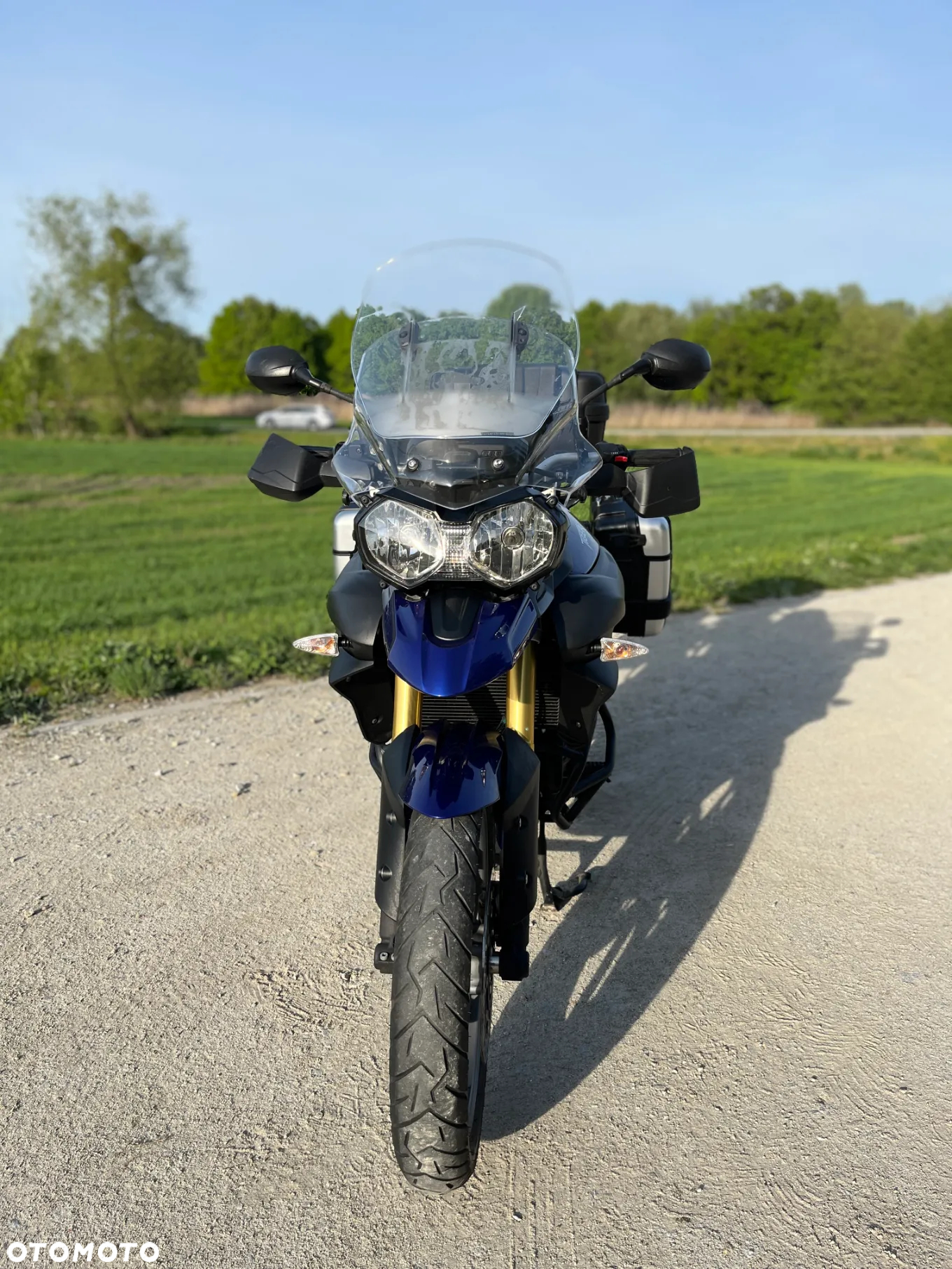 Triumph Tiger