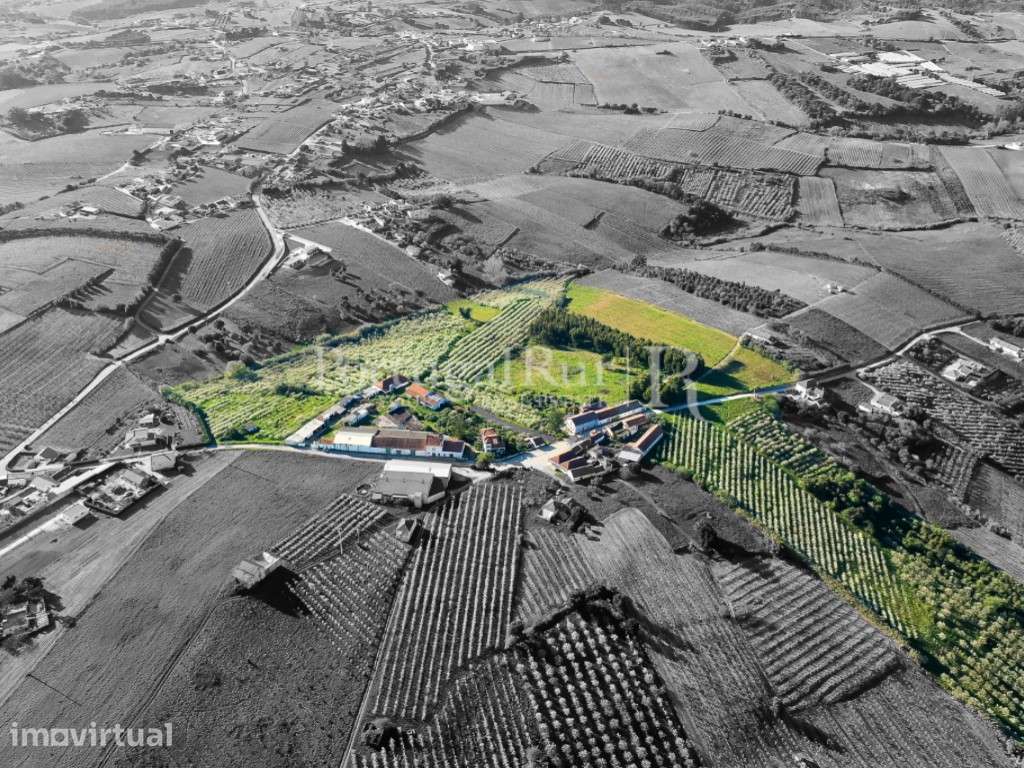 Antiga quinta agrícola com 11 hectares e 4700 m2 de construções, a ... - Grande imagem: 3/56