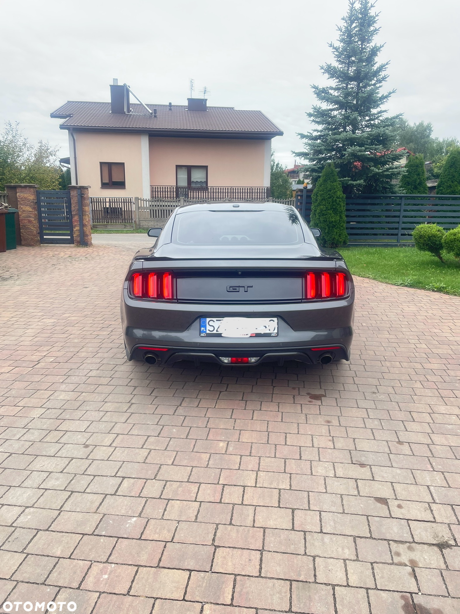 Ford Mustang 5.0 V8 GT - 7