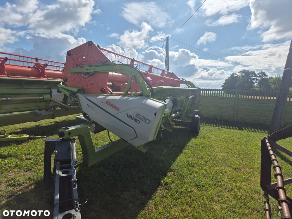 Claas Tucano 440 z hederem Vario 620 i przystawką do kukurydzy Olimac - 24