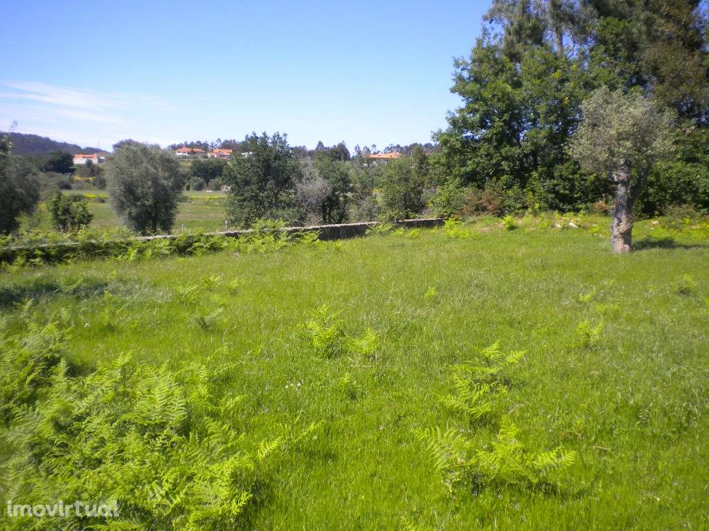 Terreno plano em Cabaços, Ponte de Lima - Grande imagem: 3/5
