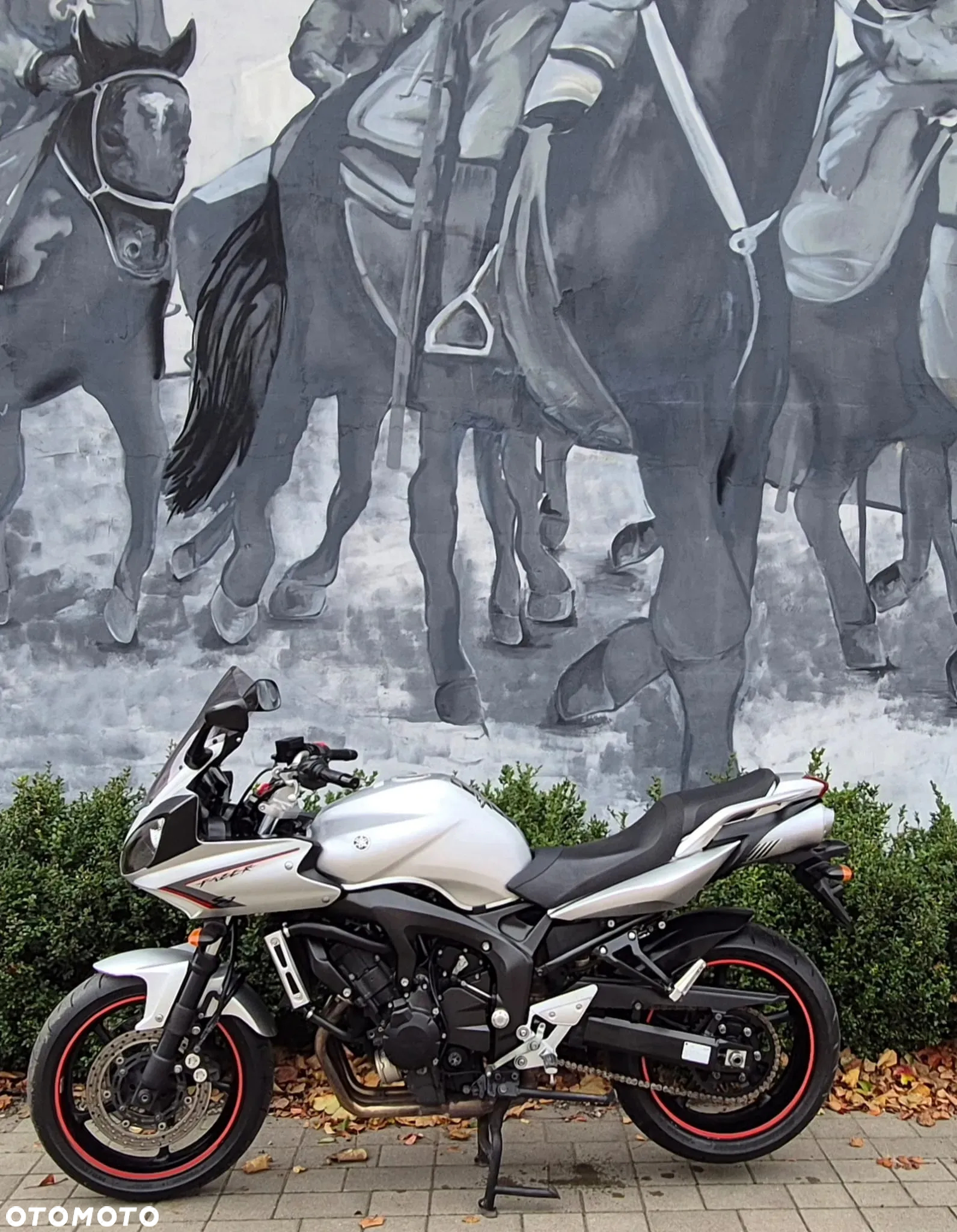 Yamaha FZ6 - 3