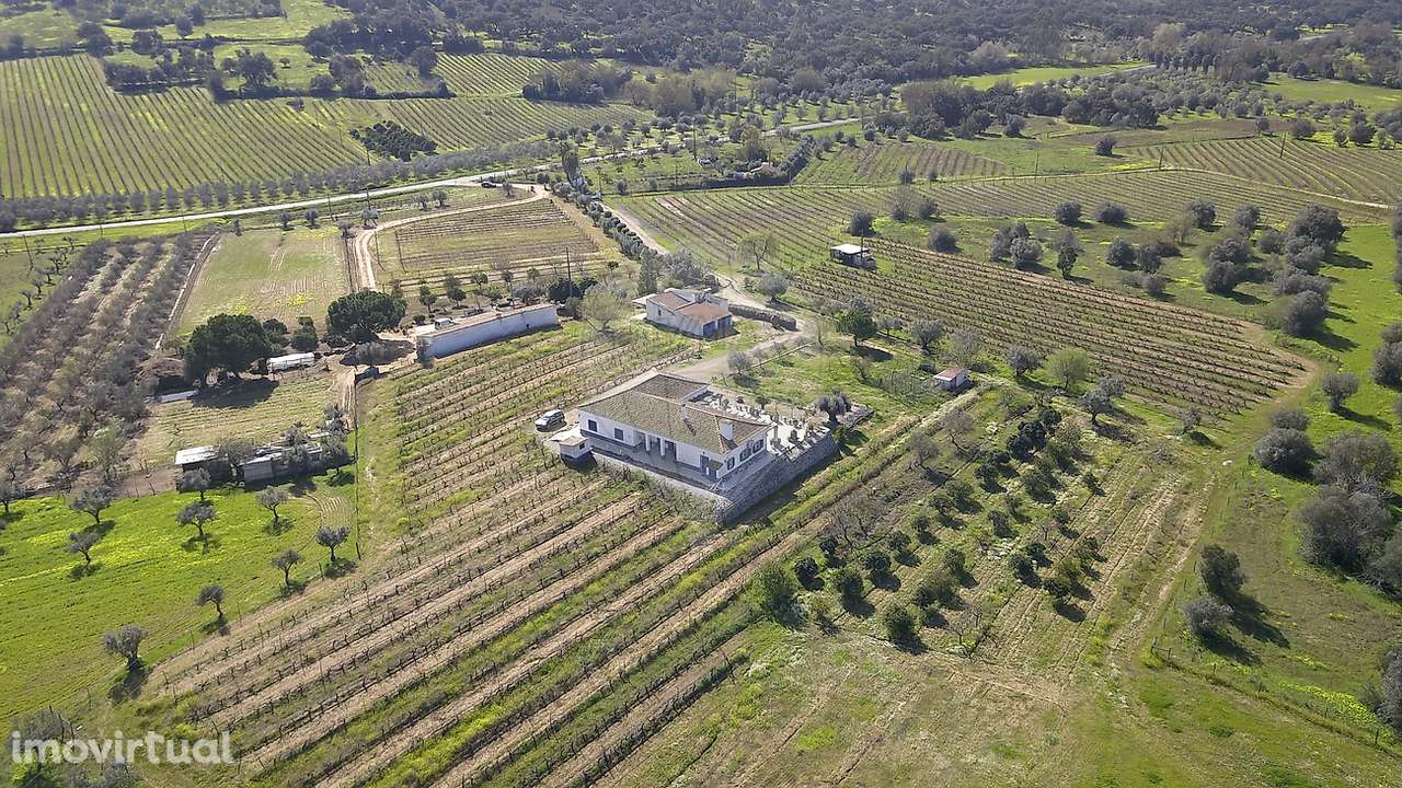 Quinta T4 para venda - Grande imagem: 4/50