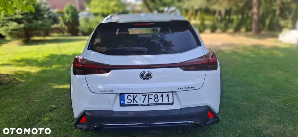 Lexus UX 200 GPF F Sport Design+ 2WD - 12
