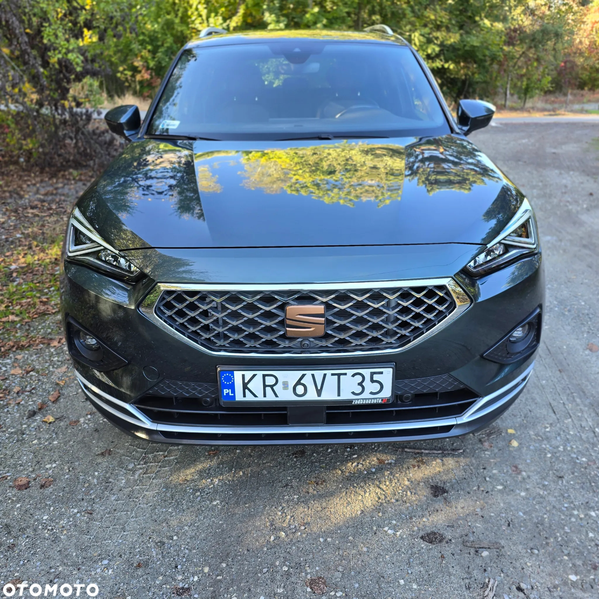 Seat Tarraco 2.0 TDI 4Drive DSG SCR Xcellence - 5