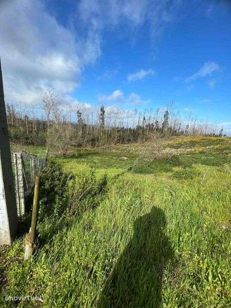 OPORTUNIDADE - Terreno com 1400 m/2 - Construção de 700/m2 - Grande imagem: 2/6