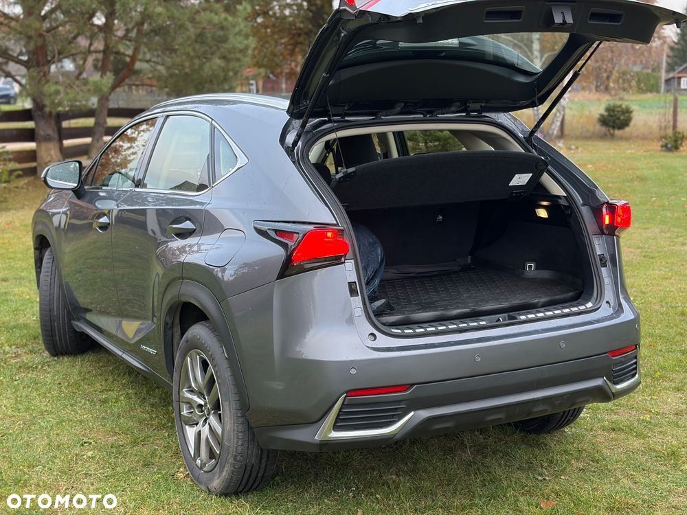 Lexus NX - 16