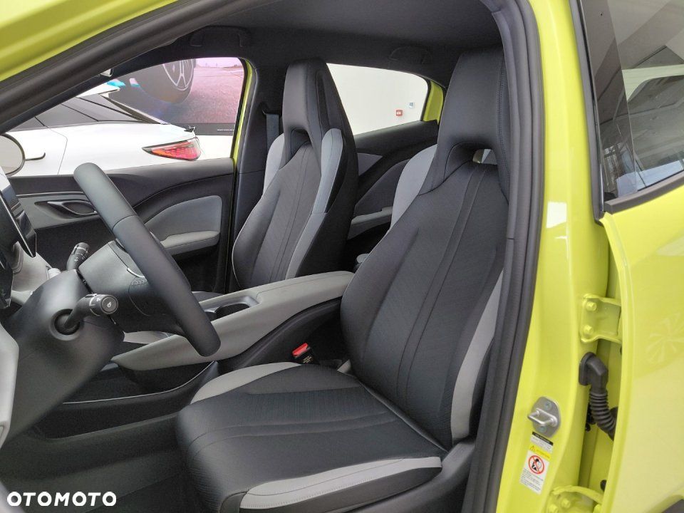 BYD Dolphin Surf - 9