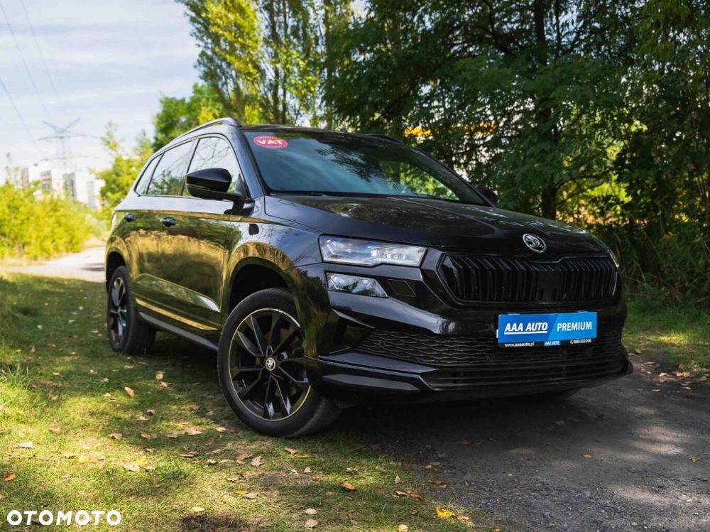 Skoda Karoq - 2