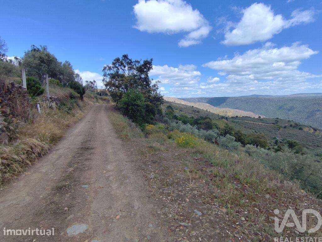 Terreno em Freixo de Espada à Cinta e Mazouco - Grande imagem: 3/22