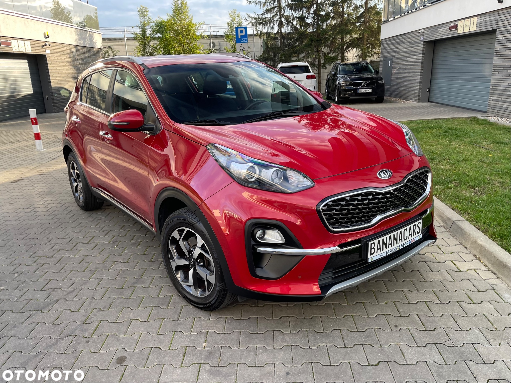 Kia Sportage 1.6 GDI L Business Line 2WD - 2