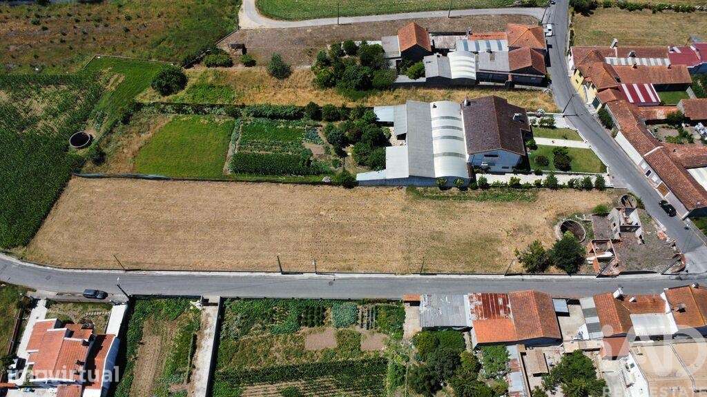 Terreno Agrícola em Requeixo, Nossa Senhora de Fátima e Nariz - Grande imagem: 4/10