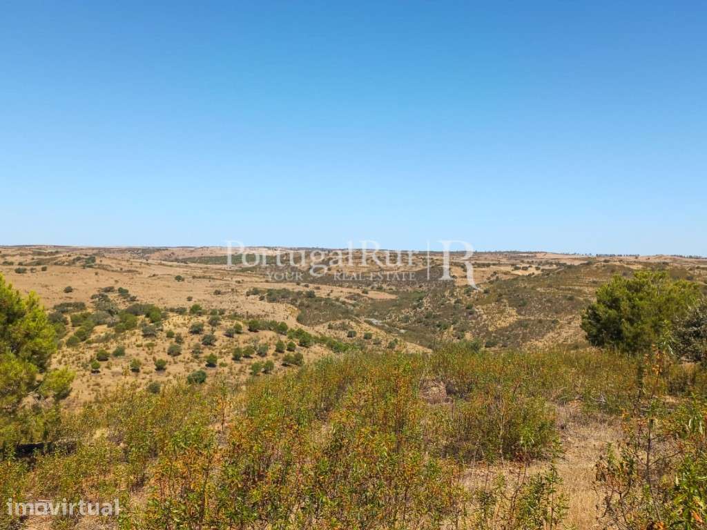 Herdade com 121 hectares e Monte Habitável - Mértola - Grande imagem: 3/29