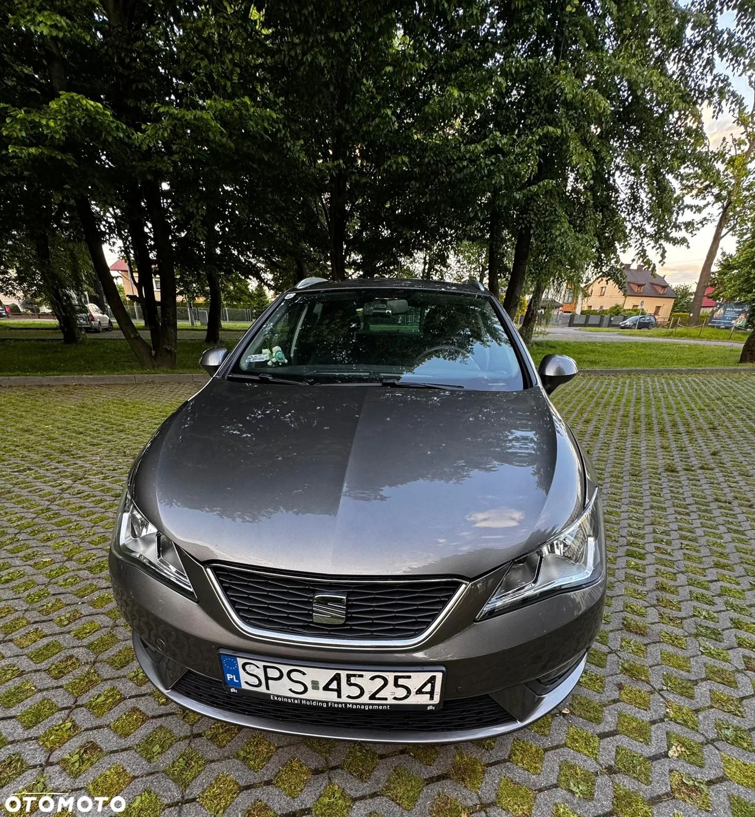 Seat Ibiza - 1