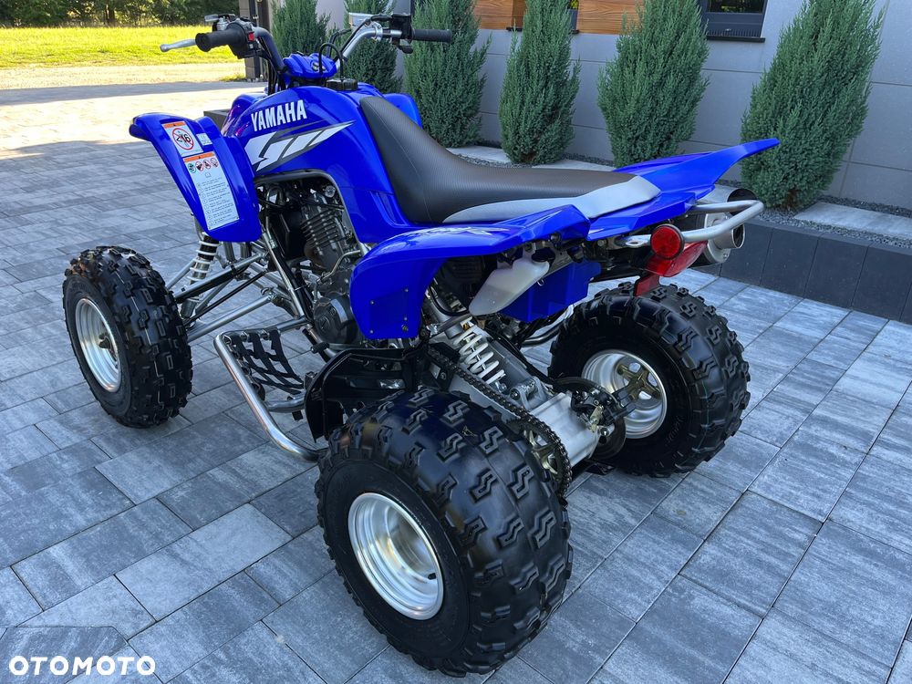 Yamaha Raptor - 6