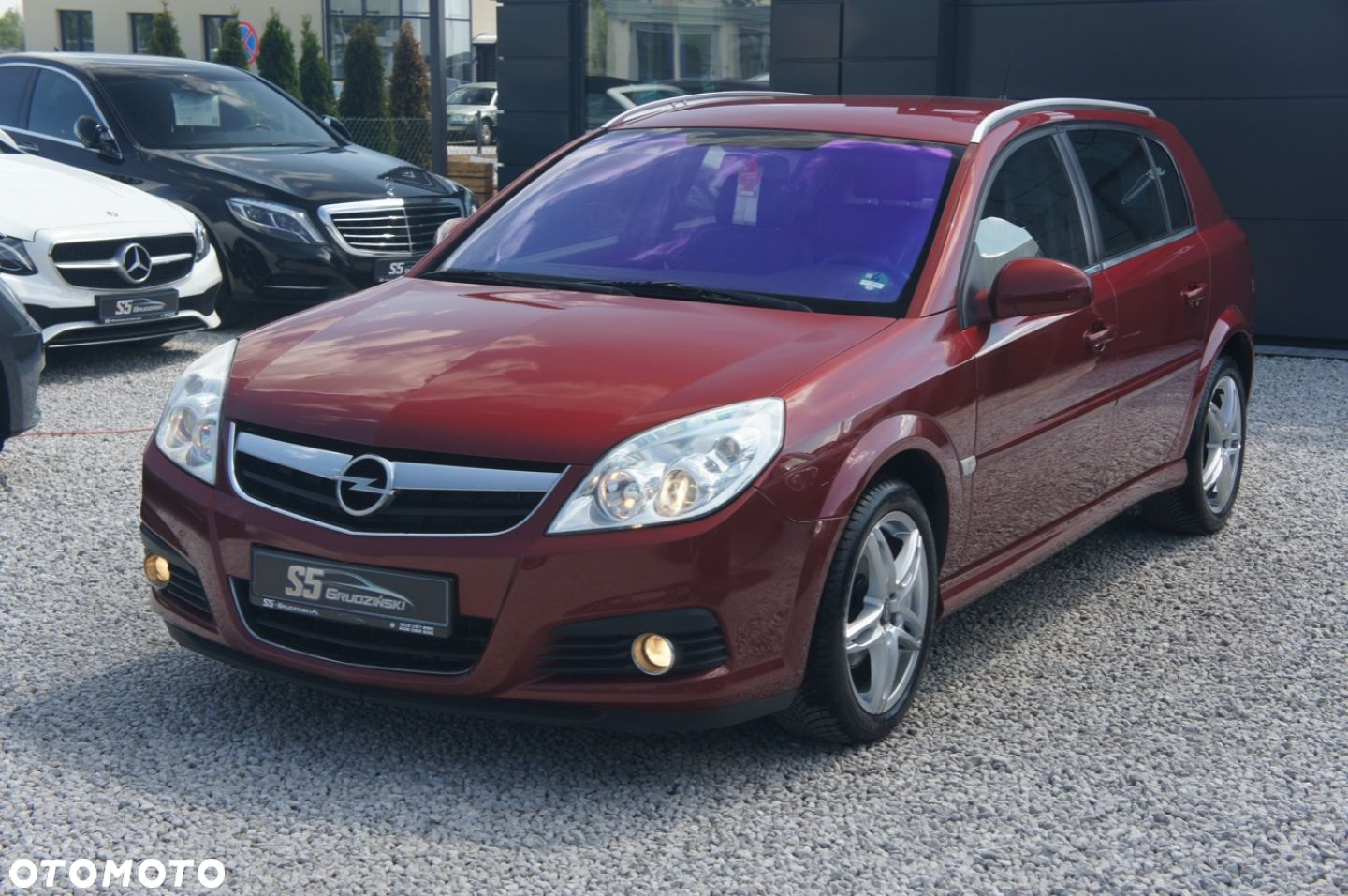 Opel Signum - 4