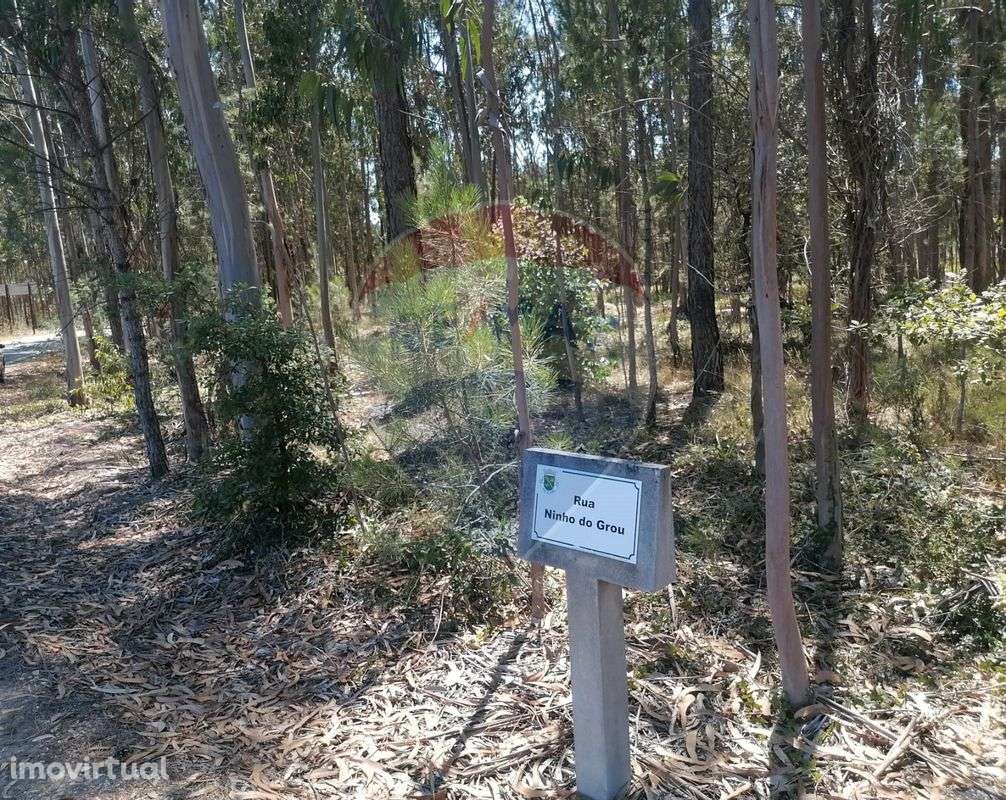 Terreno  para venda - Grande imagem: 5/16