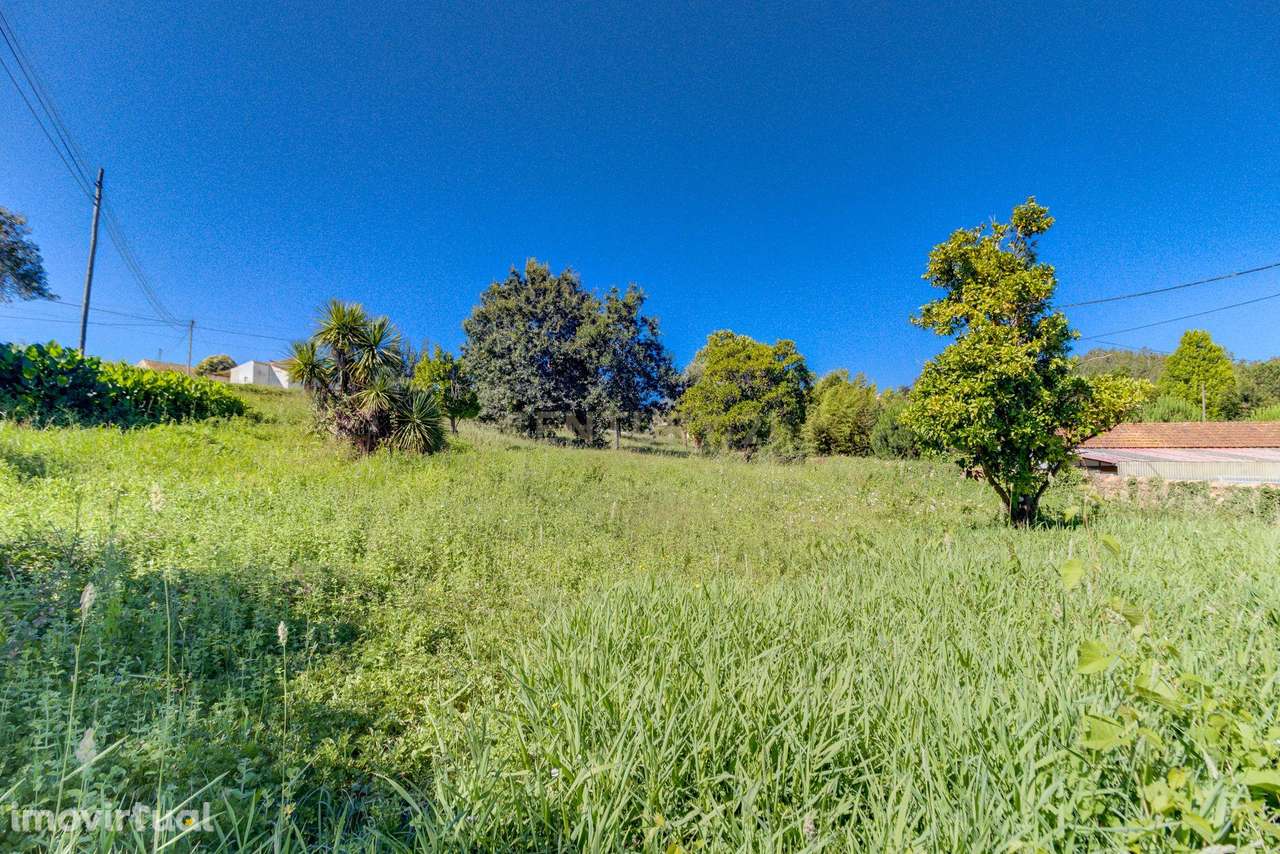 Quinta em Macinhata do Vouga, terreno de 7.049 m² ,  casa com 561 m² - Grande imagem: 4/38