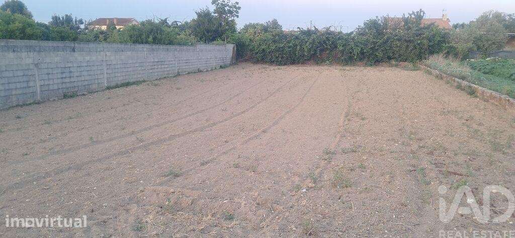 Terreno Agrícola em Ouca - Grande imagem: 2/3