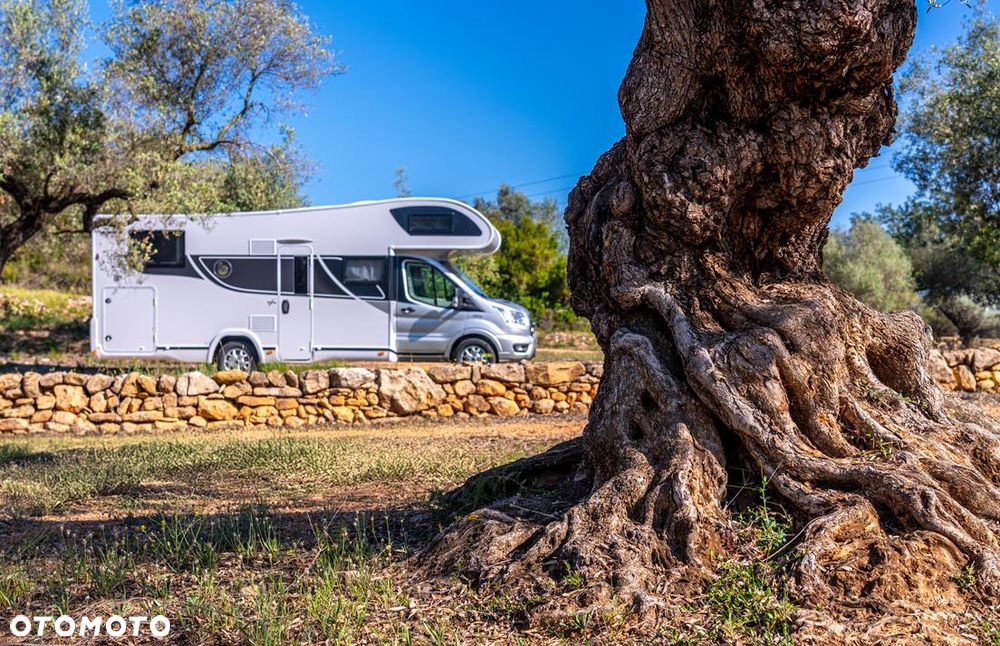 Benimar Sport 363 - 32