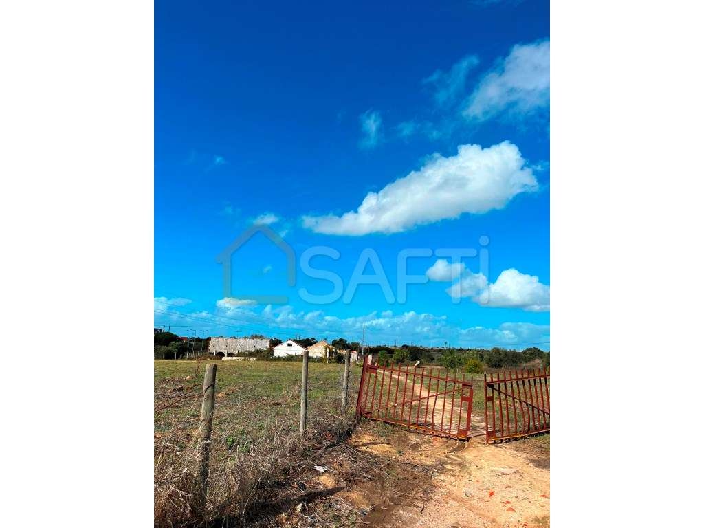 Magnifico Terreno 3.5 hectares com possibilidade de construção no M... - Grande imagem: 3/25