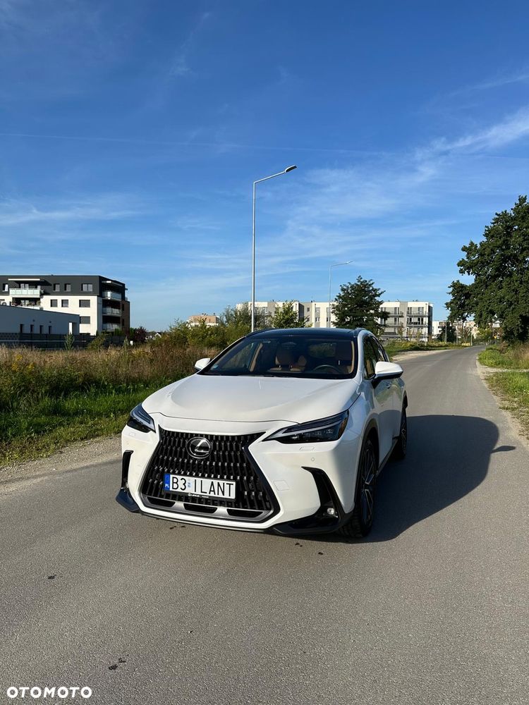 Lexus NX 350h Omotenashi AWD - 6