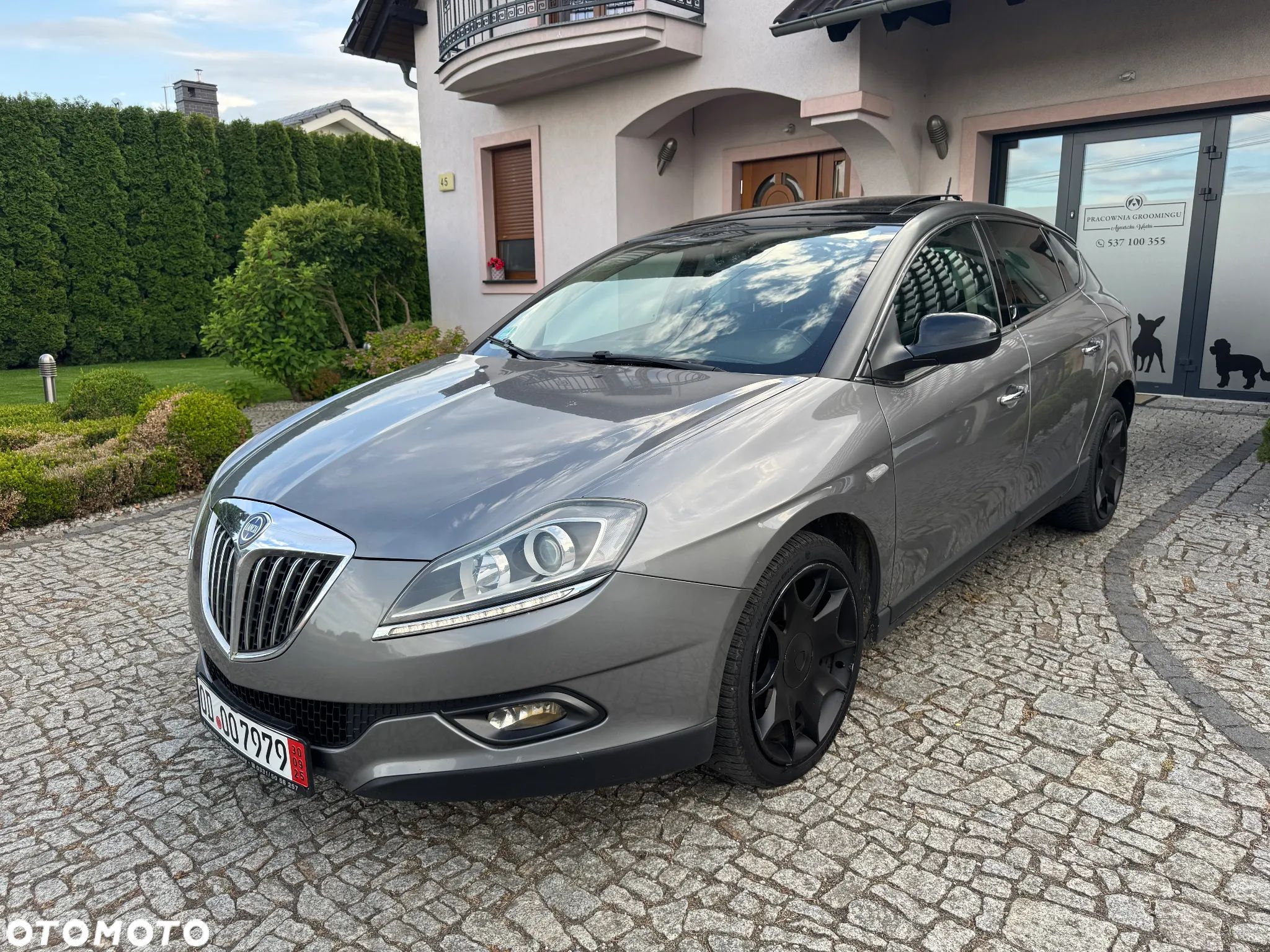 Lancia Delta 1.4 T-Jet 16v Platino - 1