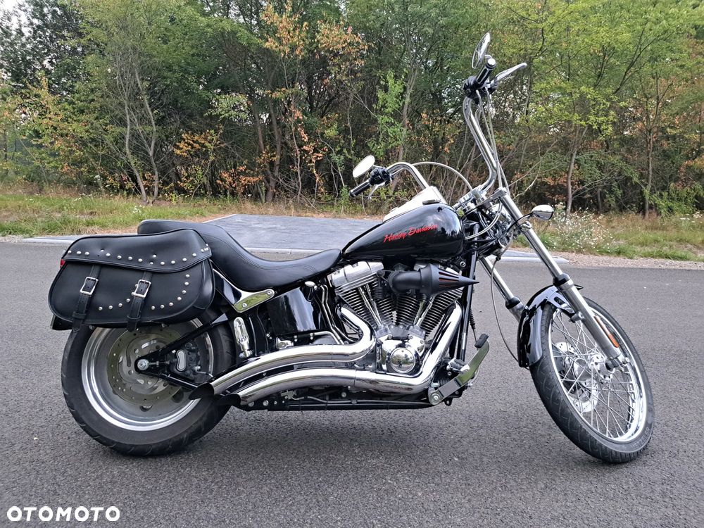 Harley-Davidson Softail Standard - 2