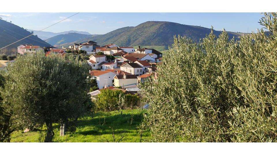 PROPRIEDADE ÚNICA NO CORAÇÃO DO ALTO DOURO VINHATEIRO - Grande imagem: 3/5