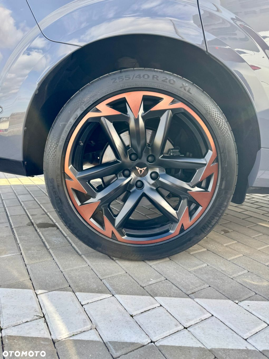 Cupra Terramar 2.0 TSI 4Drive VZ DSG - 31