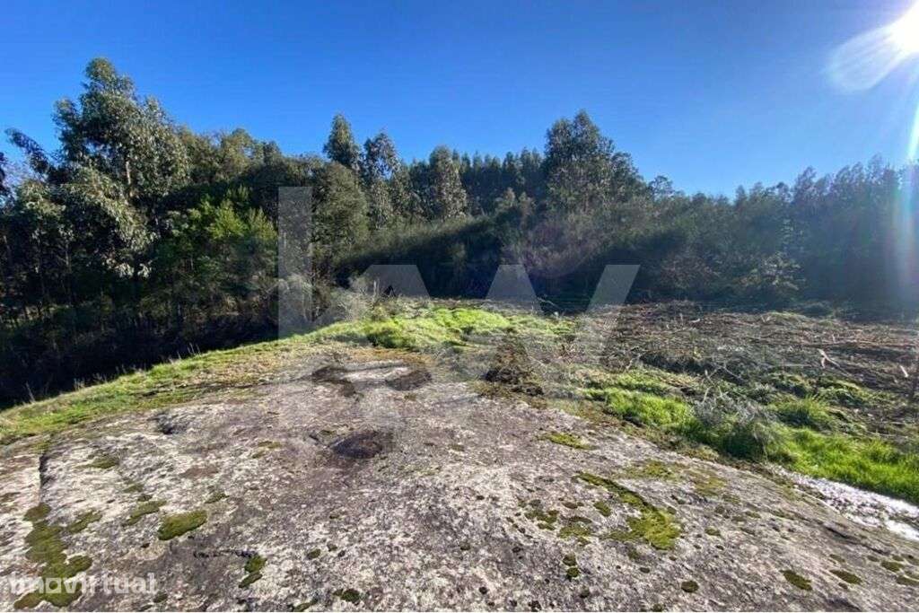 Terreno de 1.400 m2 a Apenas 6 Minutos de Santo Tirso! - Grande imagem: 4/9