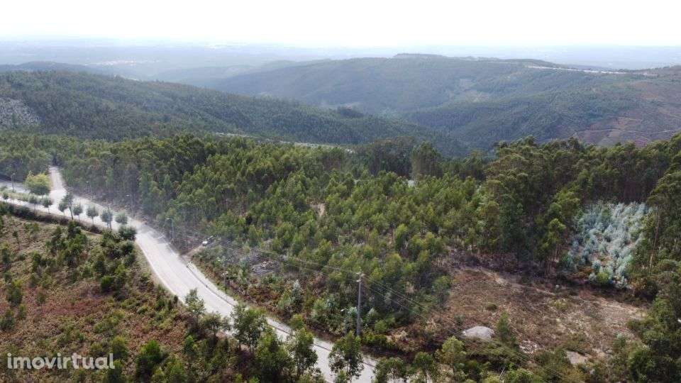 Terreno – Sever do Vouga - Grande imagem: 2/7