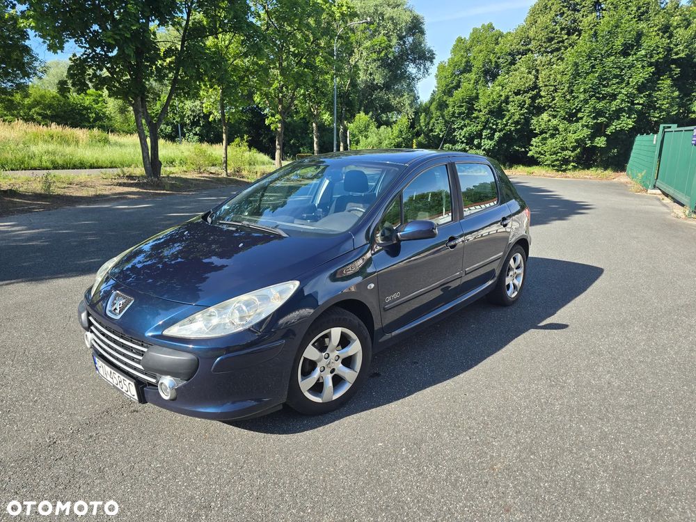 Peugeot 307 1.6 Oxygo - 3