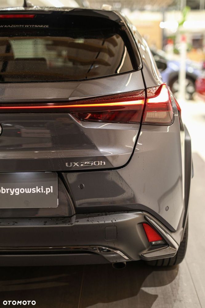 Lexus UX 250h GPF F Sport Design 2WD - 38