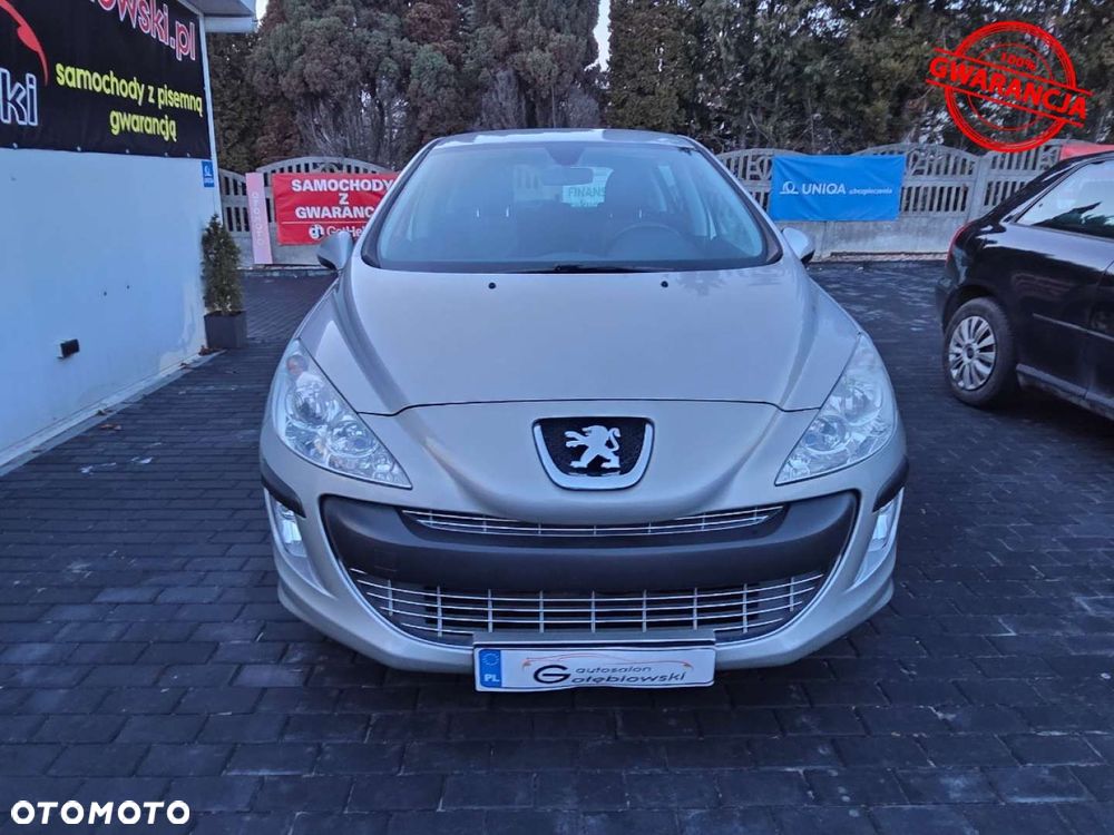 Peugeot 308 1.6 Premium - 19