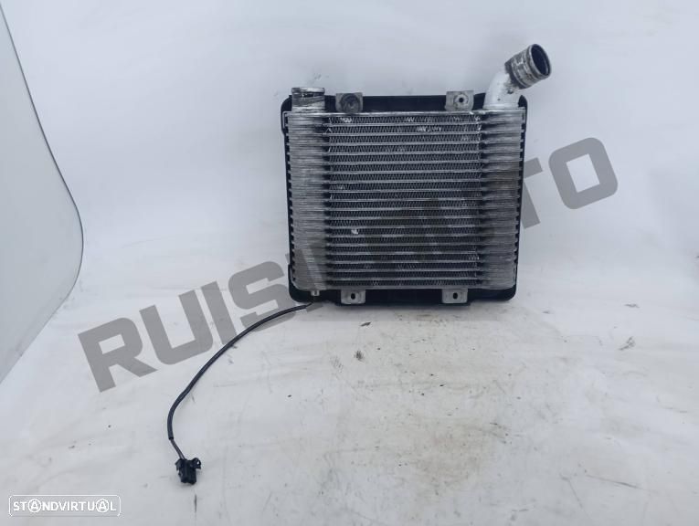 Radiador Intercooler 28190-4a20x Hyundai H-1 [1997_2007] 2.5 Td - 2