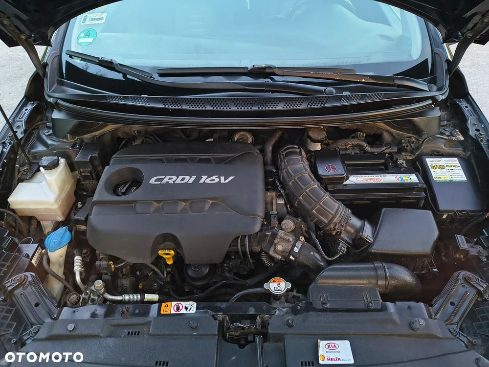 Kia Ceed 1.6 Crdi M Euro2012 - 19
