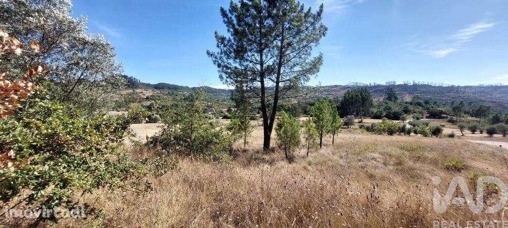 Terreno T3 em Colmeias e Memória de 145,00 m2 - Grande imagem: 3/12