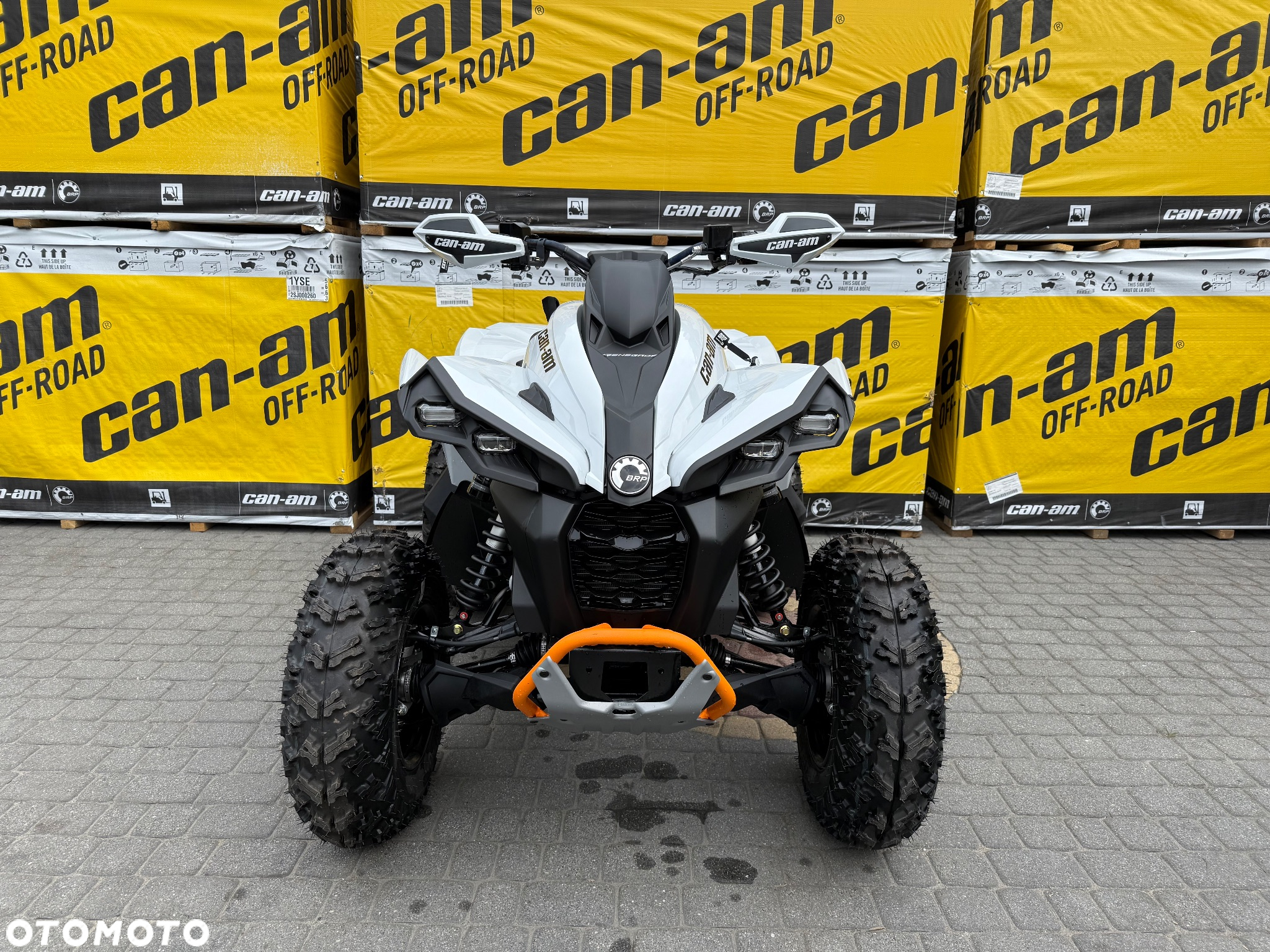 Can-Am Renegade