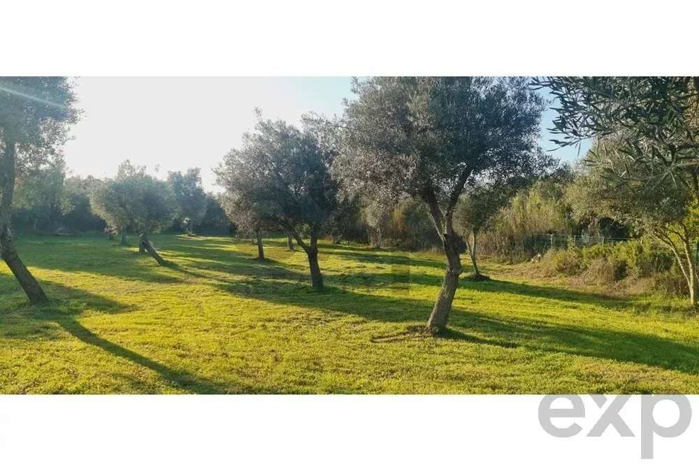 Terreno construtível com ruína e com um projeto aprovado - Grande imagem: 4/13