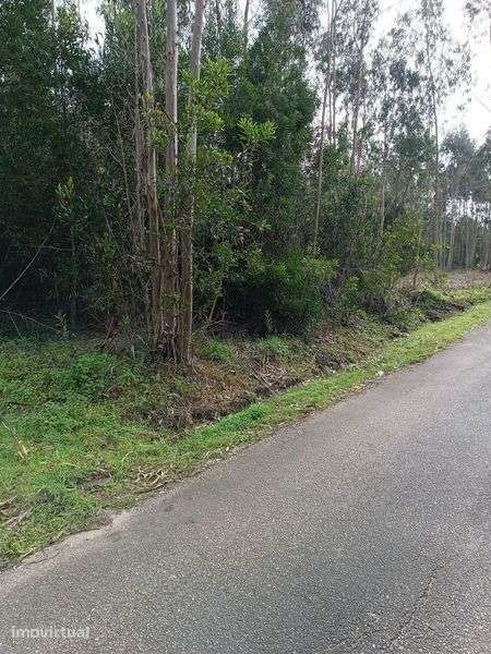 Terreno em Quiaios - Figueira da Foz - Grande imagem: 2/5