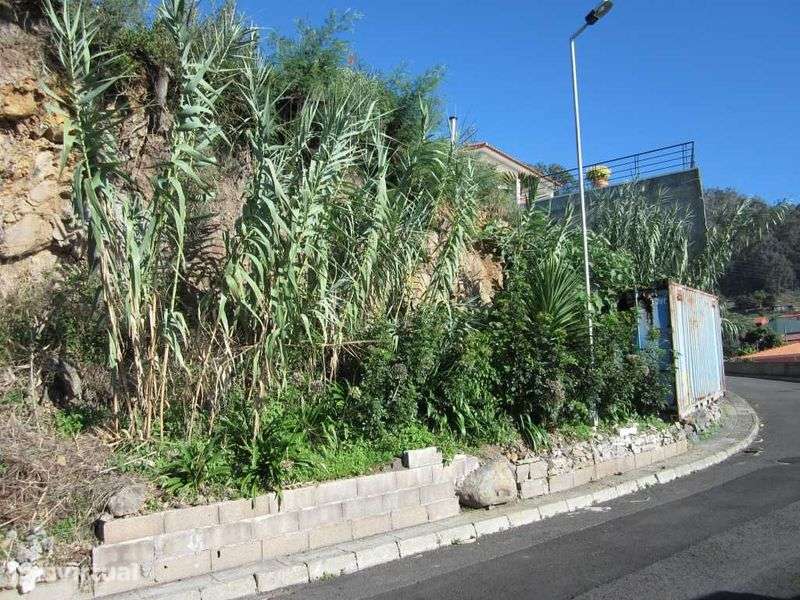 Terreno com vista sobre a baía do Funchal (São Roque) - Grande imagem: 4/4