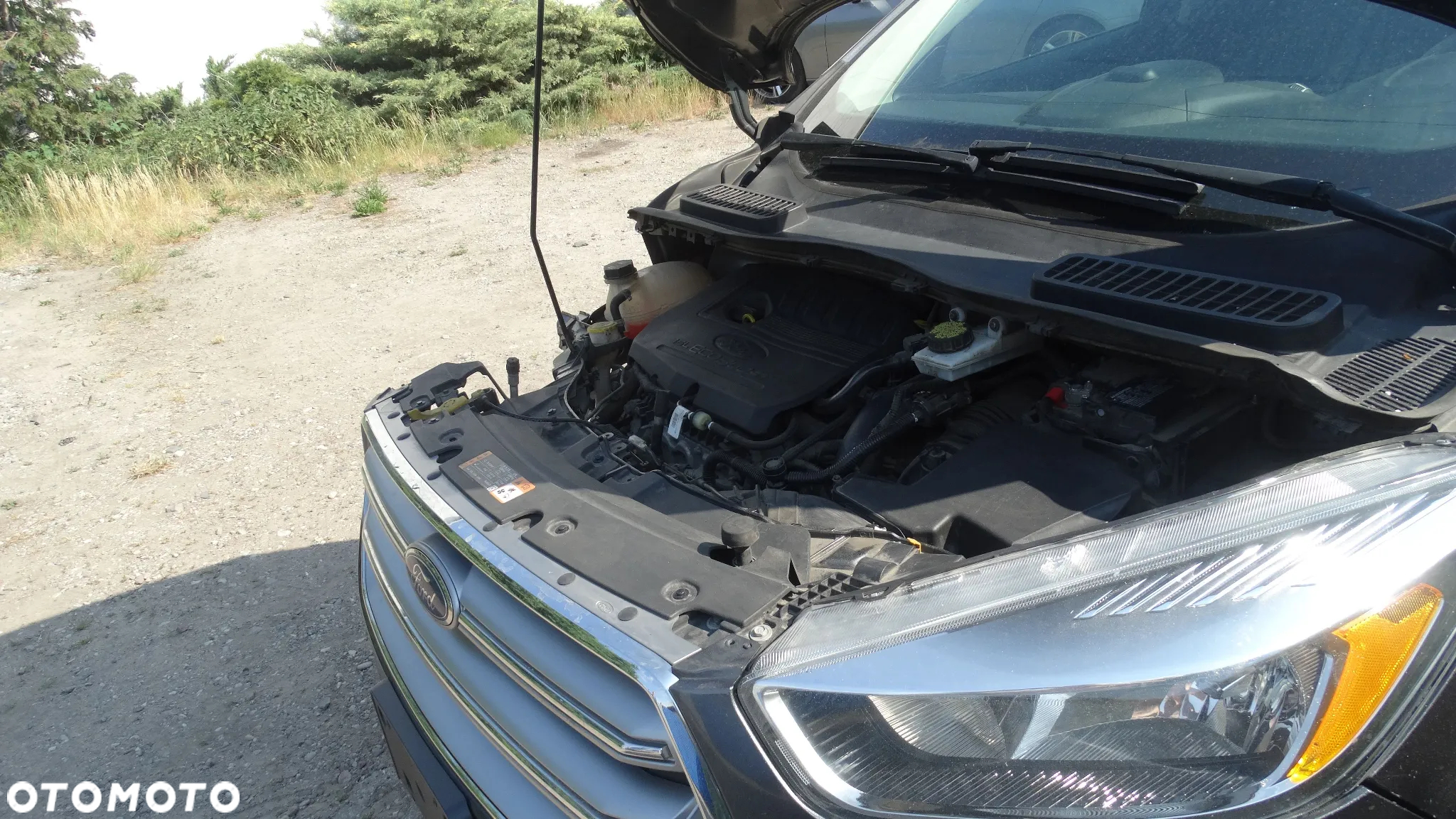 Ford Kuga 1.5 EcoBoost AWD Trend ASS - 20