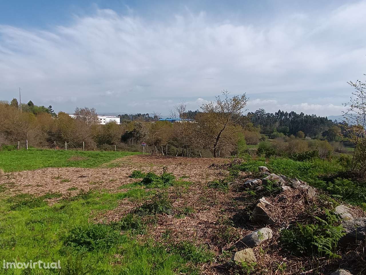 Terreno – Oliveira de Frades - Grande imagem: 3/12