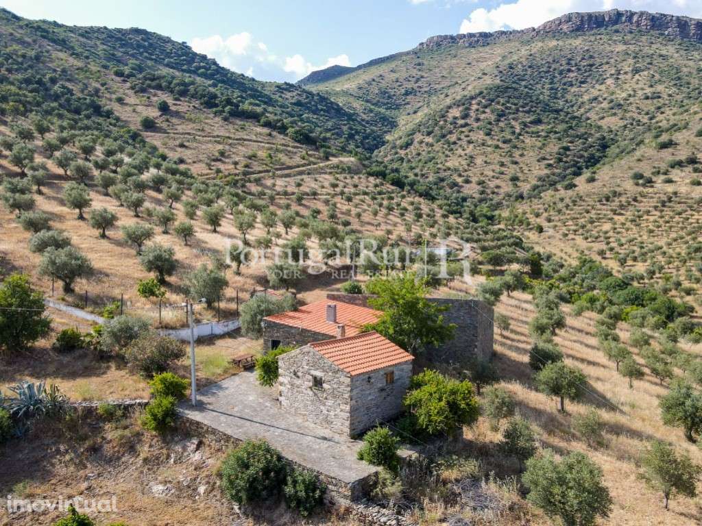 Quinta em Barca D'Alva - Douro - Grande imagem: 2/51