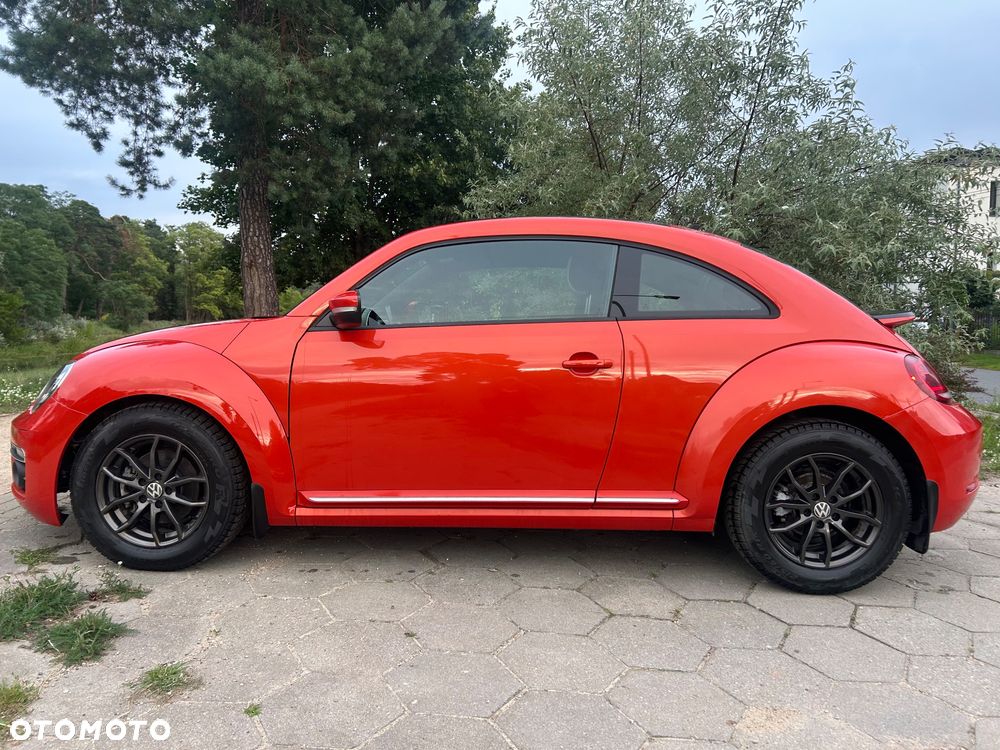 Volkswagen Beetle - 31