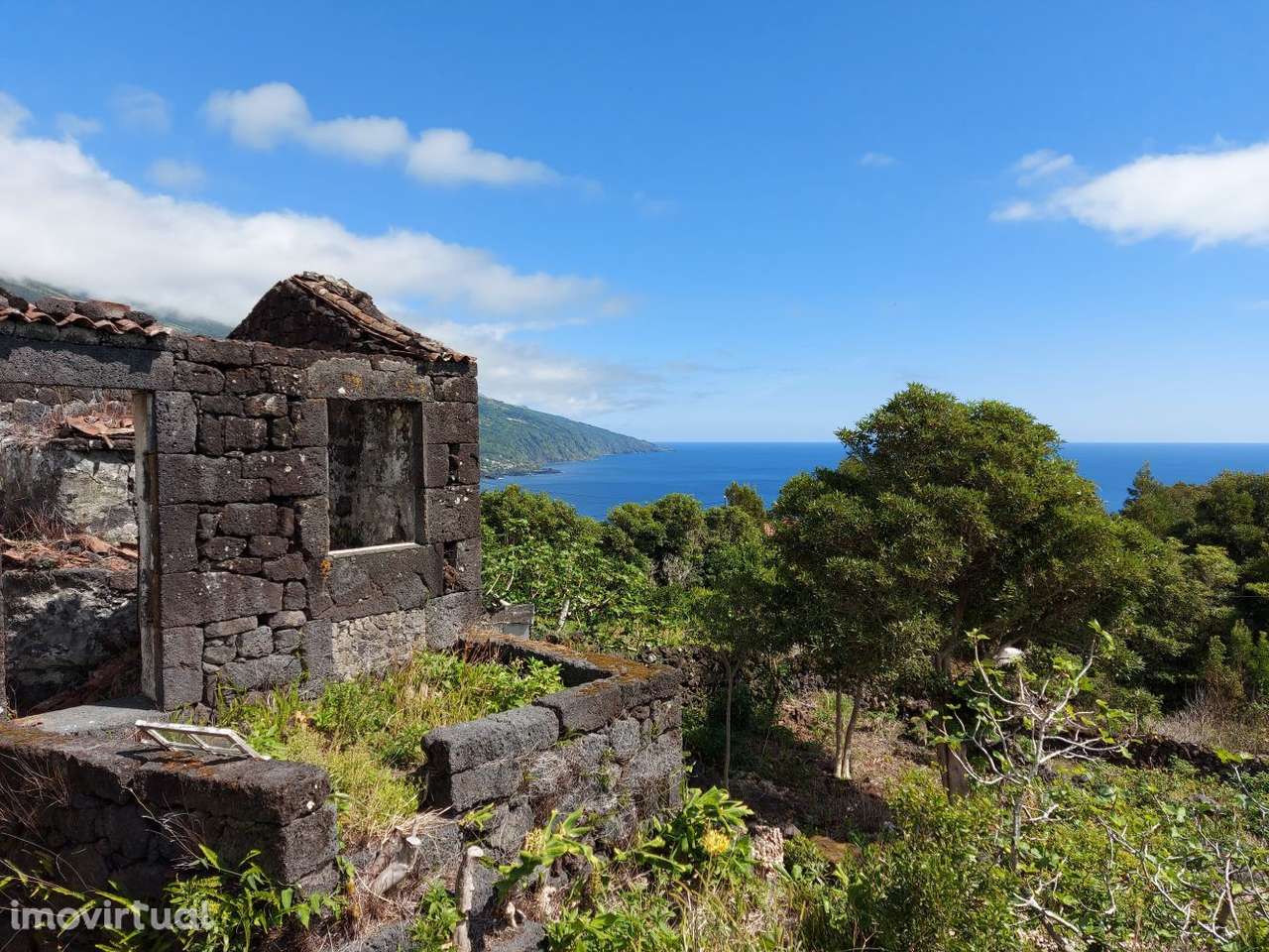 Quintinha Ribeiras- Ilha do Pico - Grande imagem: 2/19